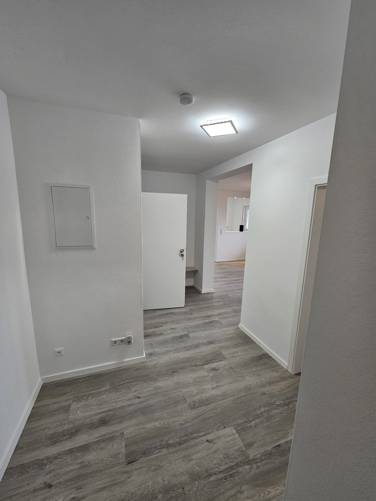 Vinyl & Laminat Bodenbelag – frisch renovierte Wohnung RK Renovierung Bürstadt